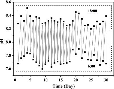 Diurnal fluctuations in seawater pCO2 amplify the negative effects of ocean acidification on the biotic performance of the calcifying macroalga Halimeda opuntia